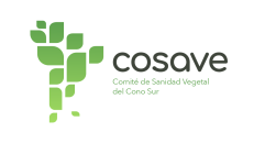 Noticia 3 Imagen portada 4